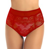 Wholesale Women s Panties Womens Lingerie See Through Underwear Sheer Floral Lace High Waist Full Back Breathable Sexy Bikini Briefs